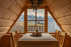 Apartamenty Willa Olsza wood house & mountain view